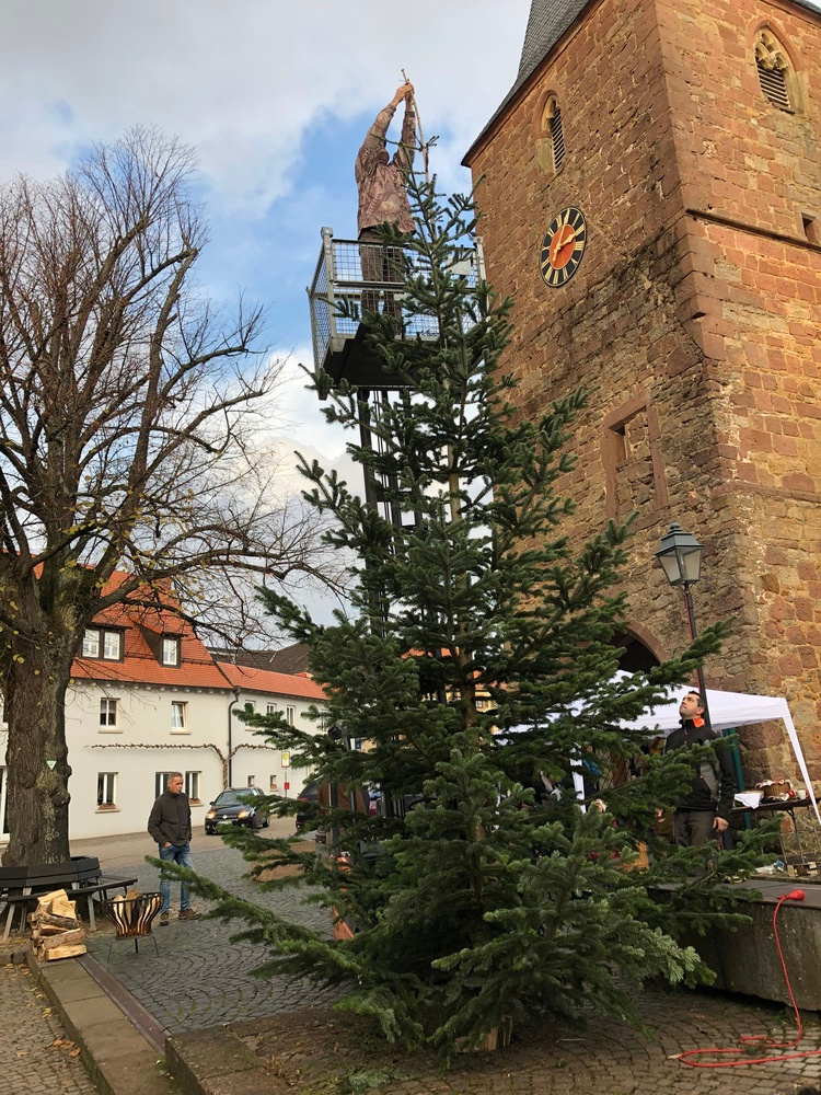 Tannenbaum